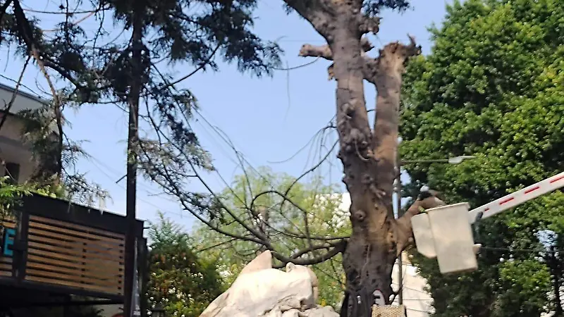 bancas 
